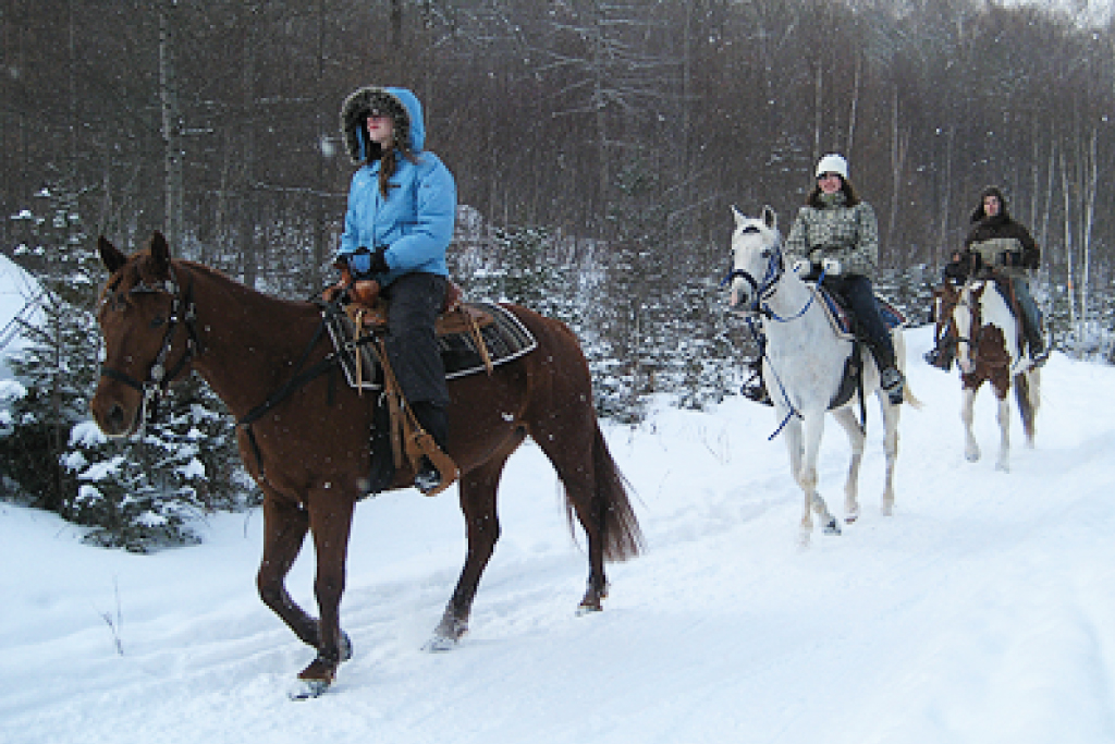 &Eacute;quitation en for&ecirc;t
